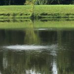 Pond and Lake Aeration helps control algae problems