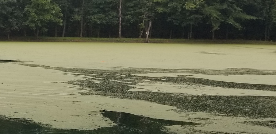 Pond and Lake aeration to improve oxygen levels