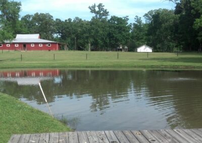 Pond Aeration cleans your Lake and Pond