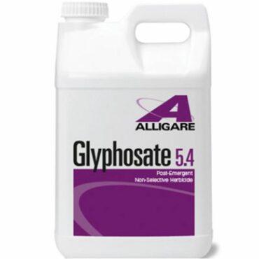 Glyphosate is an herbicide. It is applied to the leaves of plants to kill both broadleaf plants and grasses.