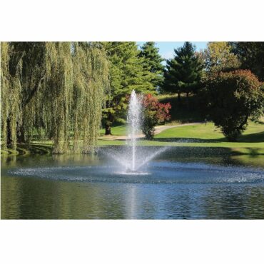 Linden 1028x1028 36322.1615443355.1280.1280 81744.1615499042.1280.1280