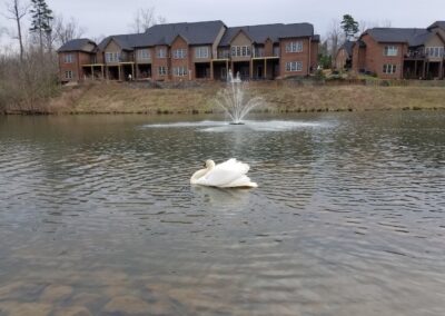 Pond and Lake Assessment in Greensboro, NC