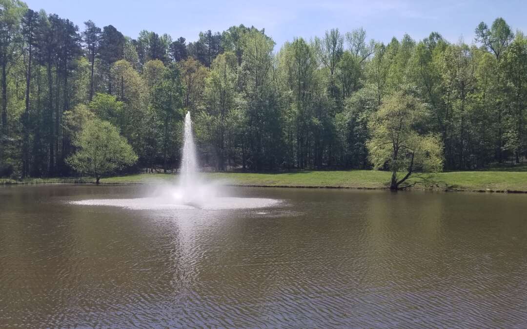 Pond Fountains add oxygen for healthier ponds