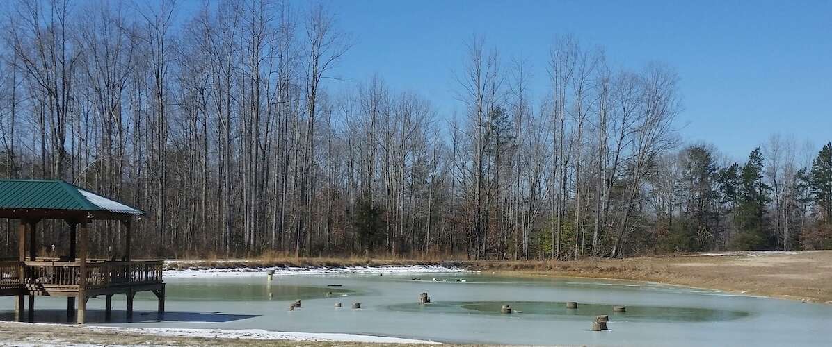 Winterize your Pond