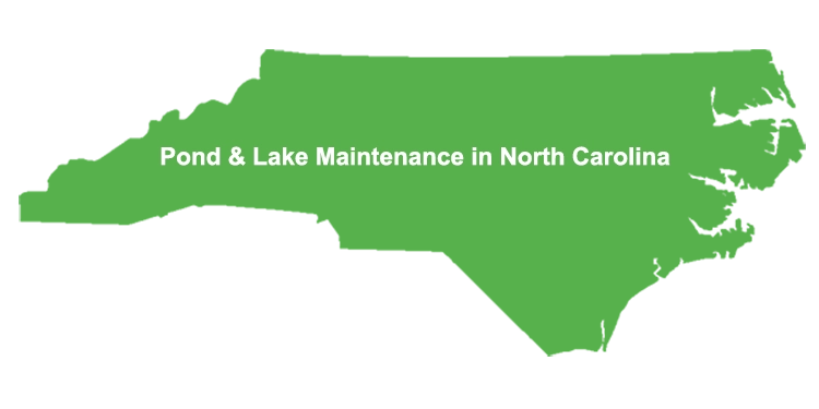 Pond & Lake Maintenance in Central North Carolina