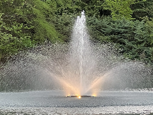 Pond Fountains with White Lights