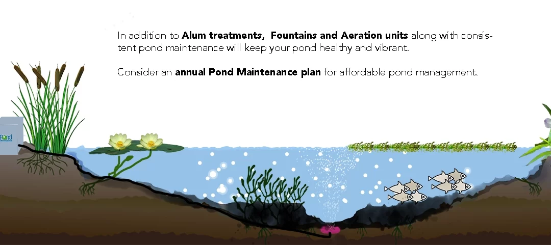 How To Improve Pond Water Quality With Alum Treatments