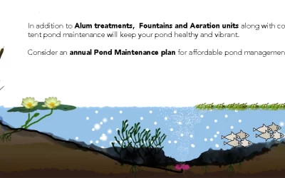 Better Pond Blog 31 How To Improve Pond Water Quality With Alum Treatments