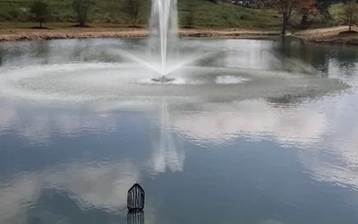 Better Pond Blog 41 In Pond Fountain: How to choose the correct In Pond Fountain