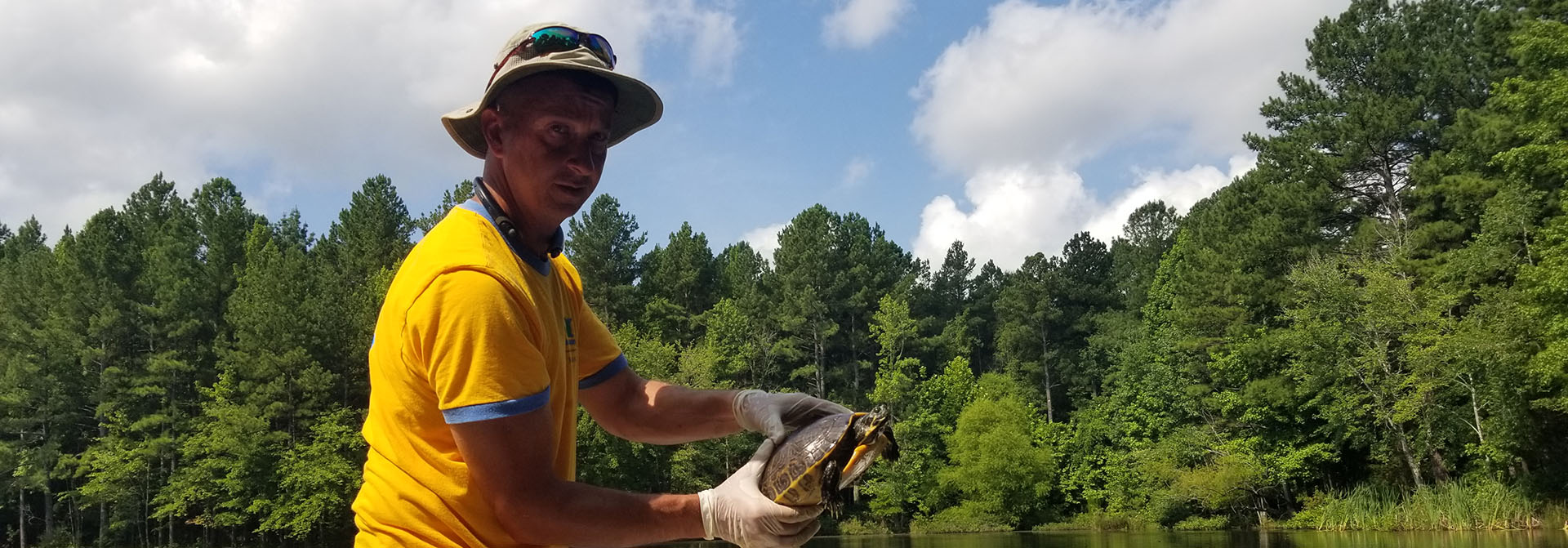 Turtle and Pond Lake Management