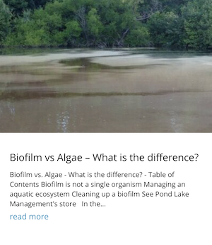 Biofilm vs. Algae Blog Post on Pond Lake Management