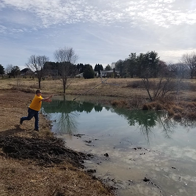 Cleaning weeds out of a pond