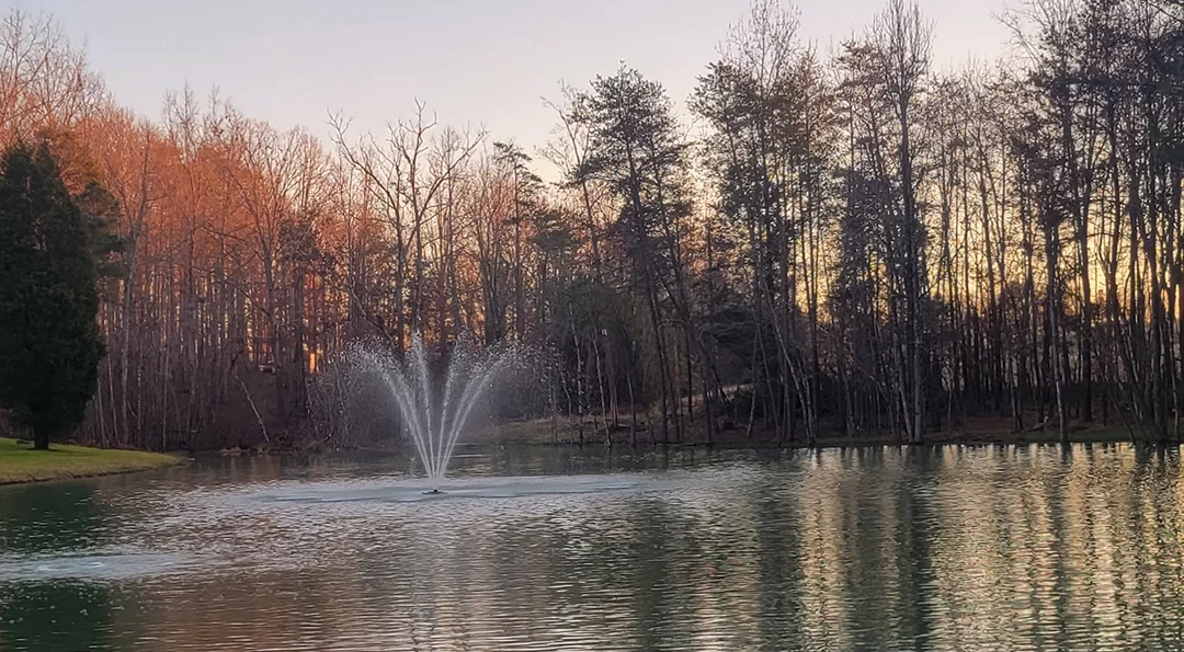 Why do I need a Pond Maintenance Plan for my Pond?