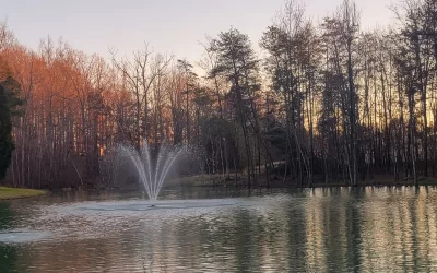 Better Pond Blog 56 Why do I need a Pond Maintenance Plan for my Pond?