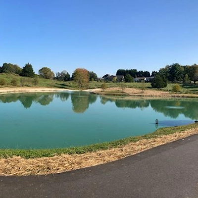 Waterdye&TrashGuard Water Dye and a Trash Guard in a Pond