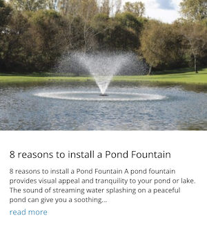 8 important reasons for installing a pond fountain