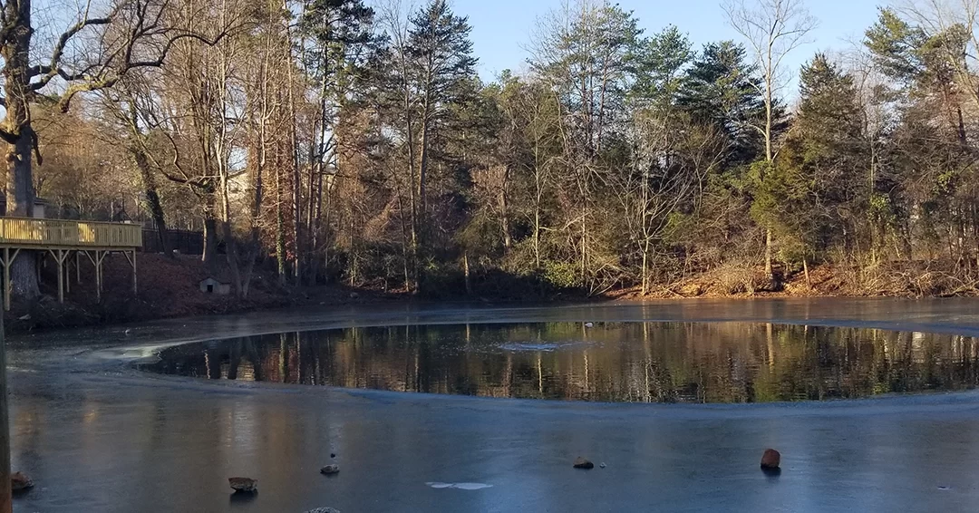 Five Tips To Prevent Winter Fish Kill In Your Pond
