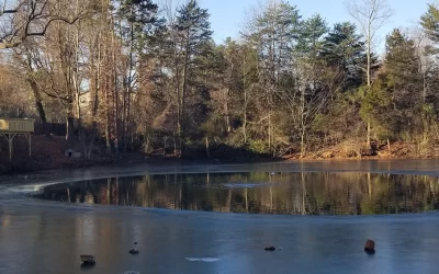 Better Pond Blog 55 Five Tips To Prevent Winter Fish Kill In Your Pond