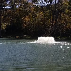 Fountain at Grandover Resort in Greensboro, NC