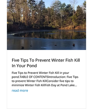Five Tips to Prevent Winter Fish Kill Five Tips to Prevent Winter Fish Kill