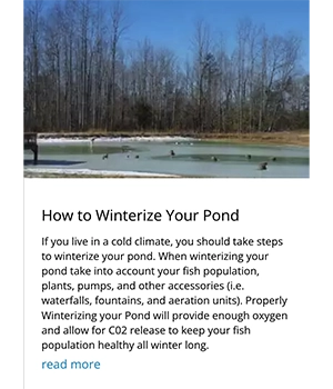 How to Winterize your Pond Winterize your Pond