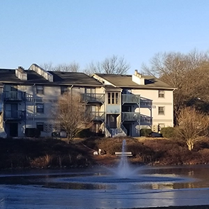 Should I Run a Pond Fountain in the Winter? The Pros and Cons