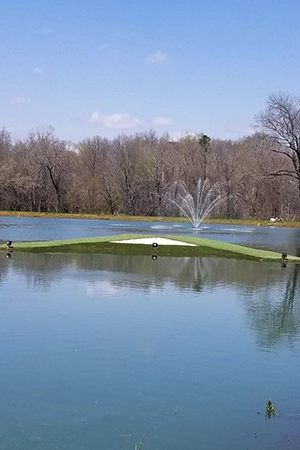 Pond Fountain & Golf Green Replace your pond fountain