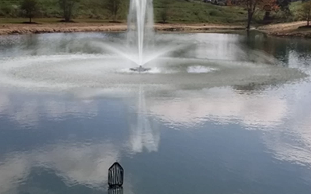 Choose The Right Pond Fountain Pump Size Your Pond Fountains