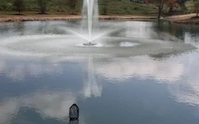 Better Pond Blog 40 Choose The Right Pond Fountain Pump Size Your Pond Fountains