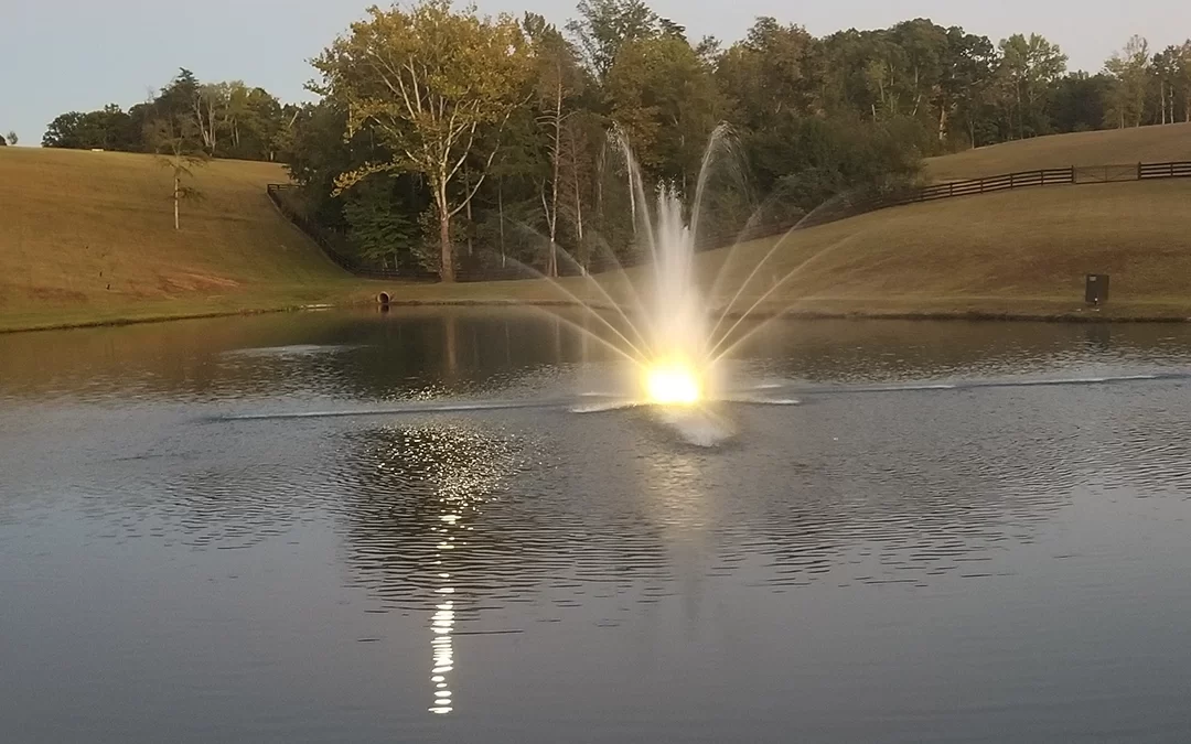 Warning Signs That You Need to Replace Your Pond Fountain!