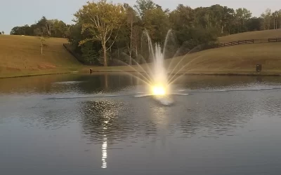 Better Pond Blog 37 Warning Signs That You Need to Replace Your Pond Fountain!