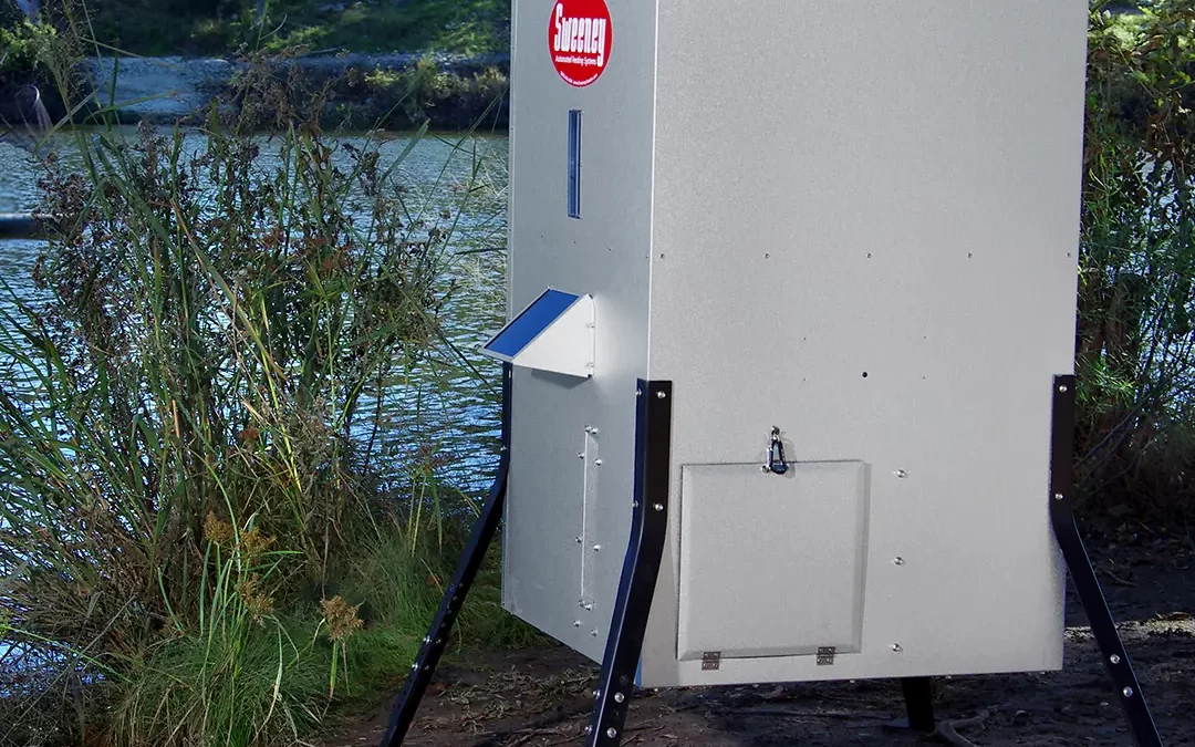 10 Reasons to Invest in Fish Feeders for Your Pond