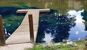 Apply pond dye blogg Apply blue pond dye