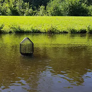 Black Bar Guard Black Bar Guard on an overflow pipe