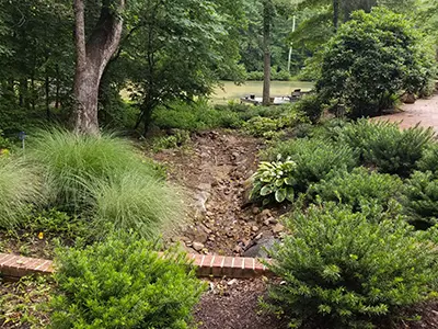 Planted Vegetation-drain_field Vegetation Drain for a pond