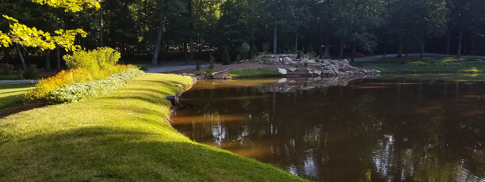 Rock_Drain_Berm_Header Pond drain & vegetation:Stormwater Control Measures