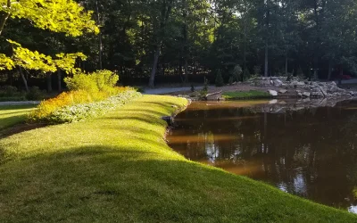 What Are Stormwater Control Measures?