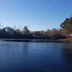 Blue_Sky-Ice_on_pond-300x300 Blue Sky Ice on Pond