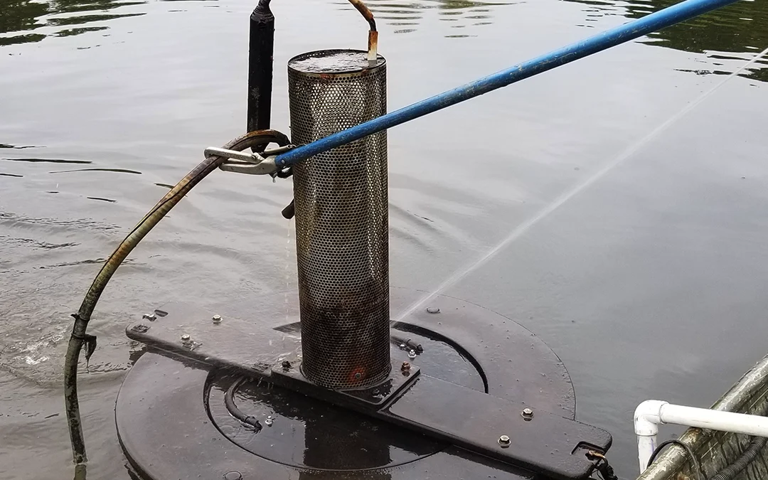Get Your Pond Fountains, and Aerators ready for Spring