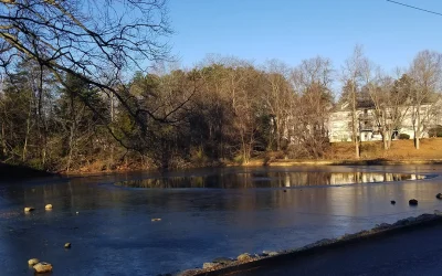 Better Pond Blog 19 Pond Deicing: Why, and how to keep your pond from freezing over?
