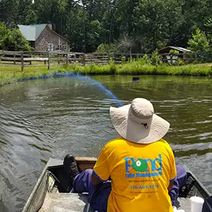 Weed & Algae Spraying in a pond