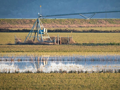 Farm Flooding Farm Flooding