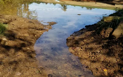 Understanding Stormwater Runoff and How to Manage It Effectively