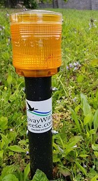 The Residential Unit keeps geese off of grass lawns, yards, fields and gardens. It features an amber 360-degree solar-powered LED light that flashes every two seconds, from dusk to dawn, year-round. The light is disturbs the very sensitive eye-sight of the geese at night, causing them to relocate to a different habitat.