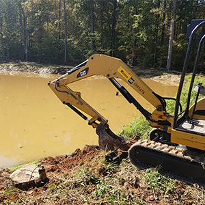 Decades of Expertise 