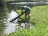 Pond Maintenance Plans 