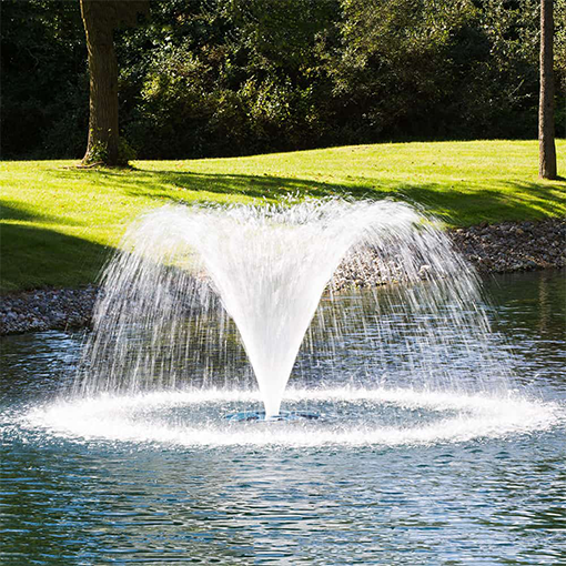 PondSeries_Category_Image Pond Series Category Image