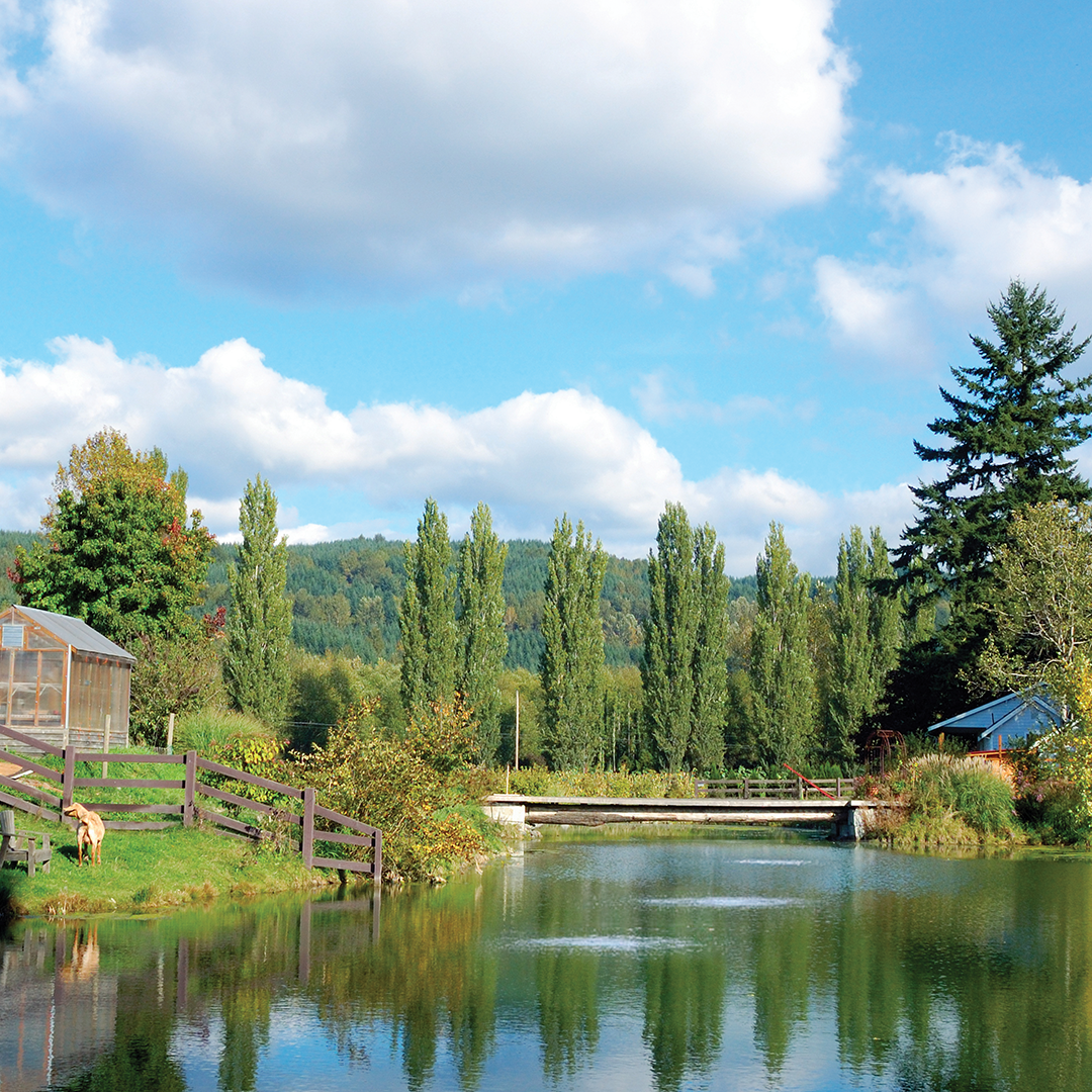 Aeration_under_Bridge_SM Aeration Systems from Airmax