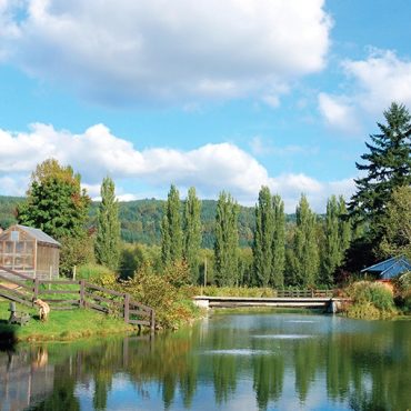 Two aerators in a pond