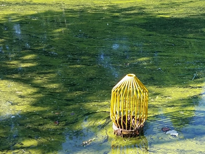 Algae & Trash Guard Apply Pond Treatments - Trash Bar Guard